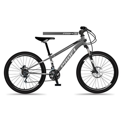 Велосипед спортивный 29" дюймов (рама 19’’, SHIMANO 21SP, сборка 75%) Profi MTB2903-5 Серый MTB2903-5 фото